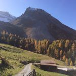 Natural-park-grieralm-zillertal