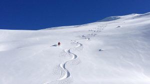 Freeriding Zillertal